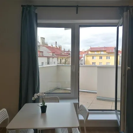 Brand New # 45 With Free Parking In The Center